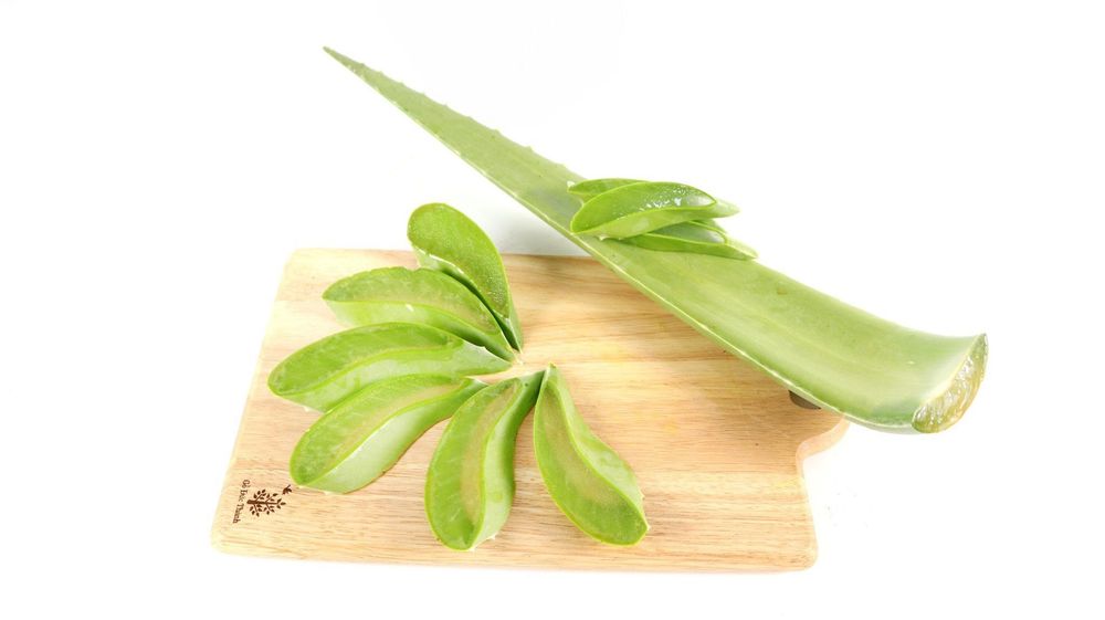 Trị gàu tại nhà bằng nha đam