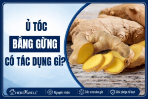 Ủ tóc bằng gừng