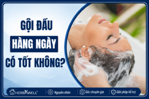 Gội đầu hàng ngày có tốt không