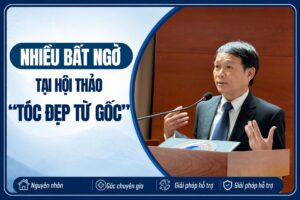 Thumb hội thảo Tóc đẹp từ gốc